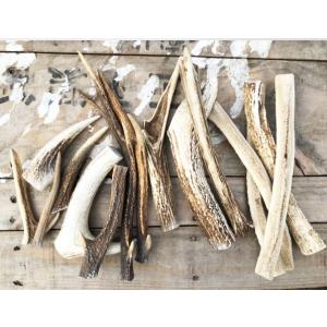 犬国産 天然 鹿角(エゾ鹿) １本 サイズ：L(約20cm〜25cm)