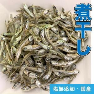 煮干し 無塩の商品一覧 通販 Yahoo ショッピング