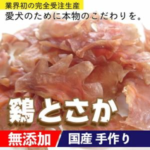 ＜メール便送料無料＞犬 おやつ 【無添加】手作りおやつ 国産 鶏とさか お試し100g(東海産) 鳥 トサカ 鶏冠 ペット   ＜メール便配送＞【DBP】