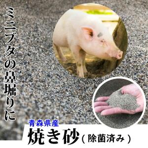 大伸物産yahoo ショップ ミニブタ 飼料 用品 ペット用品 Yahoo ショッピング