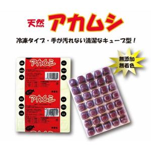 冷凍アカムシ（赤虫）100g(35キューブ)×12シート【クール便発送 
