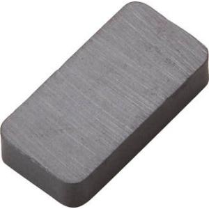 トラスコ中山 TRUSCO フェライト磁石 角形 20mmX10mmX4mm 1個入 TF20K-1P [1-415-1844]