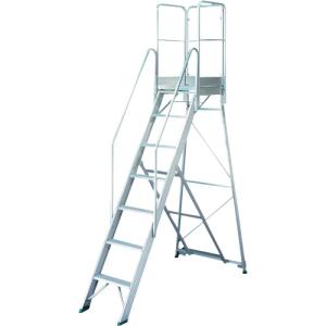 長谷川工業 【別途送料】【個人宅不可】 ハセガワ ライトステップ DAD型 2.1m（1100手摺付） DAD-210-1100 [I270304]
