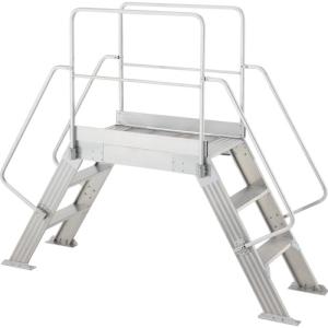 長谷川工業 【別途送料】【個人宅不可】 ハセガワ オーバーブリッジ 1010a型 DG-1010A [I270304]