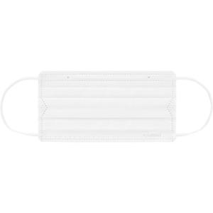 アイリスオーヤマ IRIS プリーツマスク ゆったり大きめ 40枚入 ホワイト PK-NV40LL [155-559485]