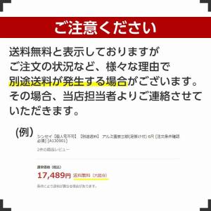 エスコ ESCO 【個人宅不可】 AC100V...の詳細画像2