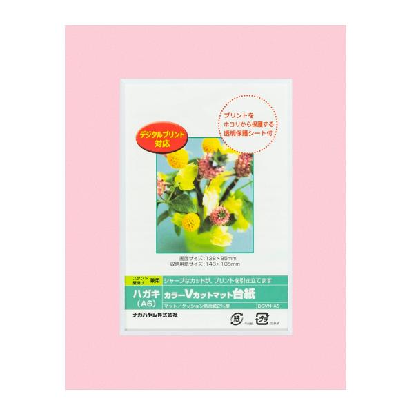ナカバヤシ カラーVカット台紙A6判/ピンク/V DGVM-A6-P/V [274-859451]