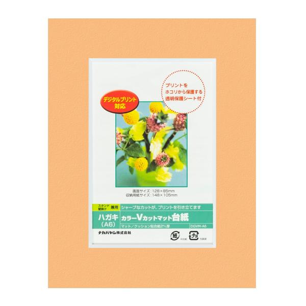 ナカバヤシ カラーVカット台紙A6判/オレンジ/V DGVM-A6-O/V [274-859468]