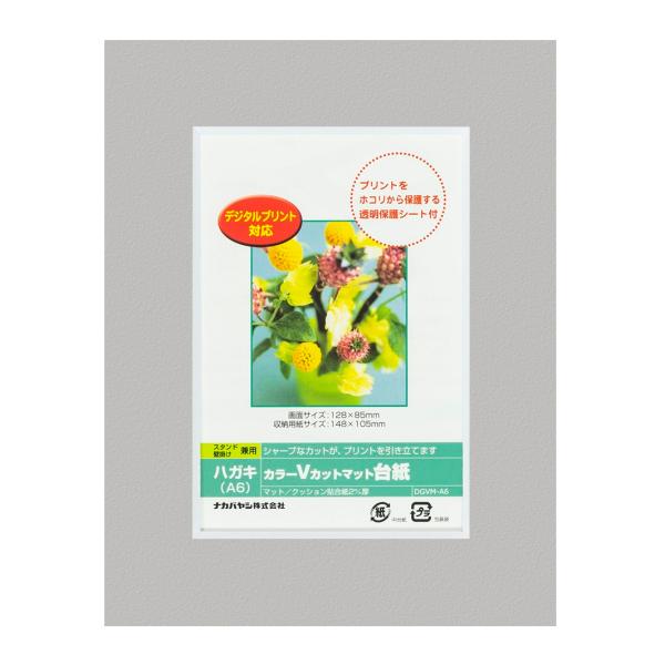 ナカバヤシ カラーVカット台紙A6判/グレー/V DGVM-A6-N/V [274-859505]