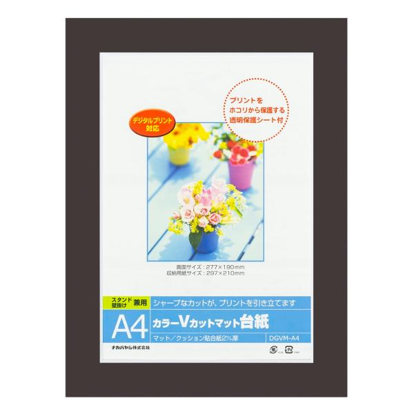 ナカバヤシ カラーVカット台紙A4判/ブラック DGVM-A4-D/V [274-862284]