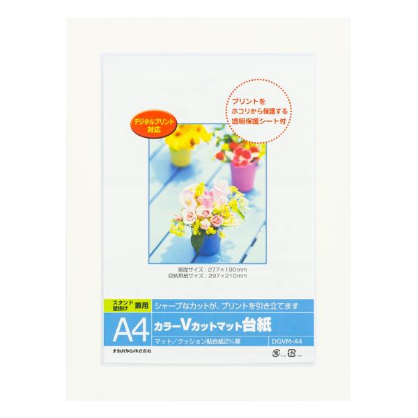 ナカバヤシ カラーVカット台紙A4判/ホワイト DGVM-A4-W/V [274-862291]