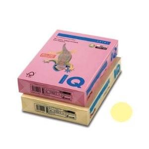 伊東屋 バイオトップカラーA4（500枚入） [63525] BT530 バニラ [342-4166...