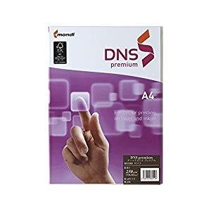 伊東屋 DNS premiumA4 250g [32500] DNS105 [342-662143]