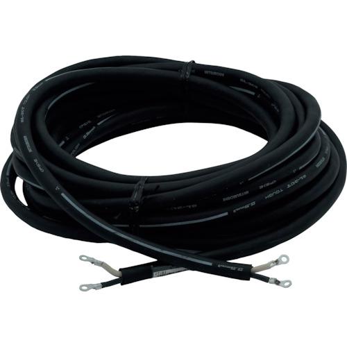 スター電器 スズキット SUZUKID 【受注生産】入力コード 2CT3.5S×2芯10m 両端端子...
