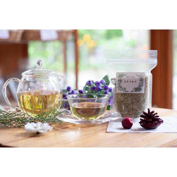 エキナセア　◆シングルハーブティー シングルティー 単品