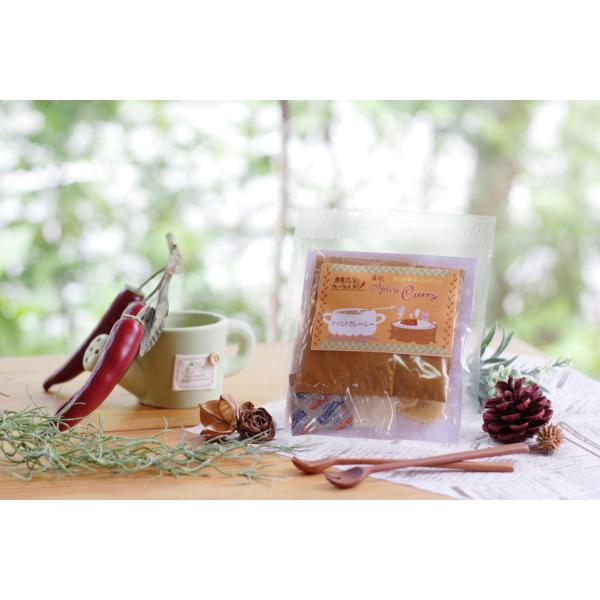 森のスパイスカレーマイルド4人前　スパイスカレー　手作りカレーセット