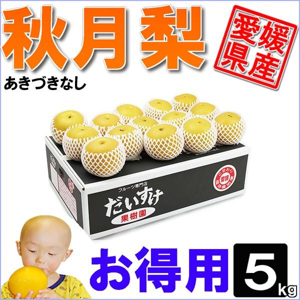 秋月梨（あきづきなし）お得用5ｋｇ