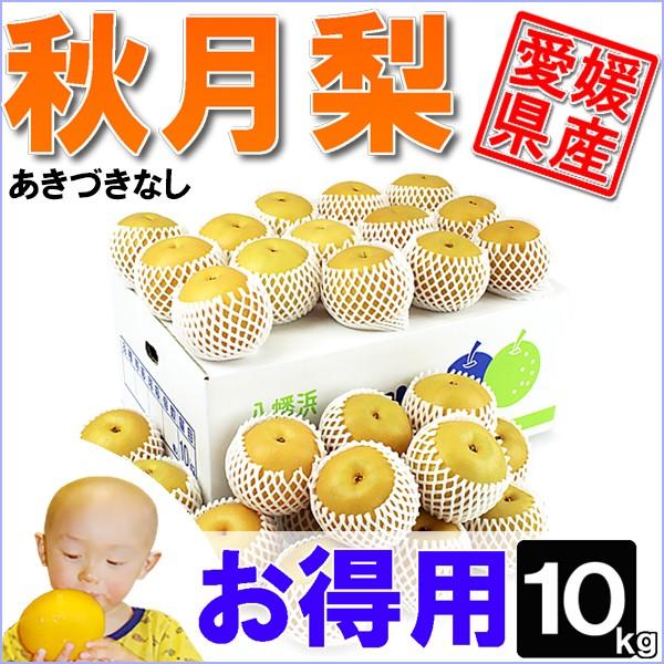 秋月梨（あきづきなし）お得用10ｋｇ