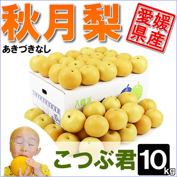 秋月梨（あきづきなし）こつぶ君10ｋｇ