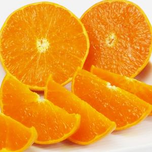 媛まどんな キズキズ君 5kgの詳細画像3