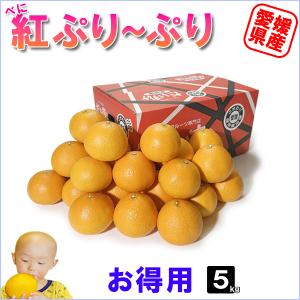 紅ぷり〜ぷり　お得用　5ｋｇ