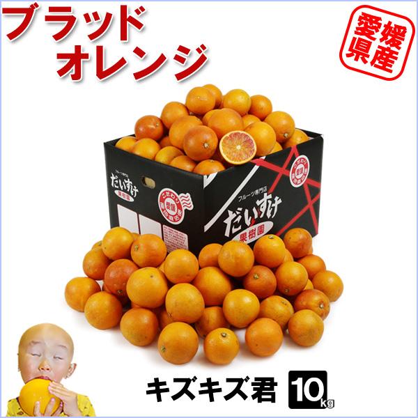 愛媛県産 ブラッドオレンジ キズキズ君10ｋｇ