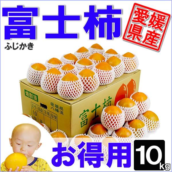 富士柿　お得用　10ｋｇ