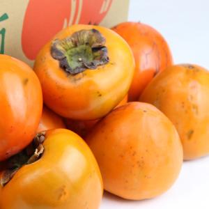 富士柿 お得用 10kgの詳細画像1