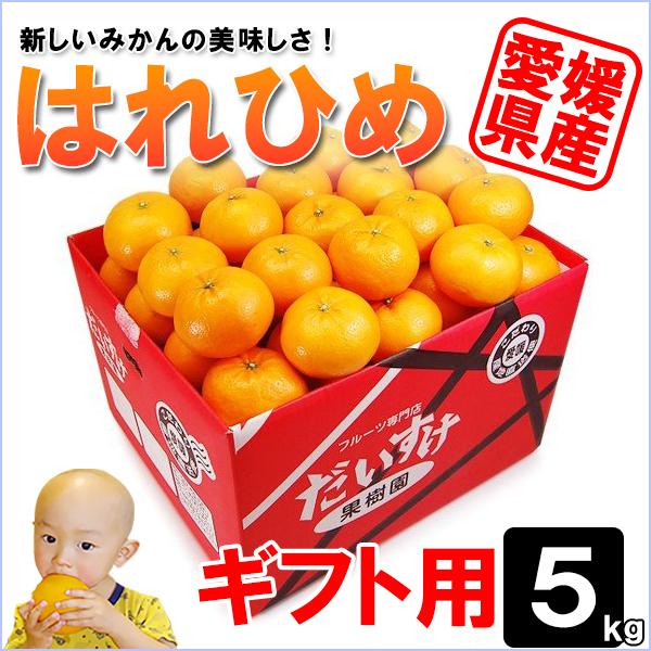 はれひめ ギフト用 5ｋｇ