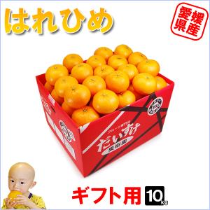 はれひめ ギフト用 10ｋｇ