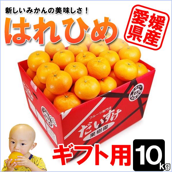はれひめ ギフト用 10ｋｇ