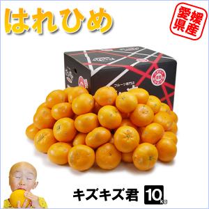 はれひめ キズキズ君 10ｋｇ