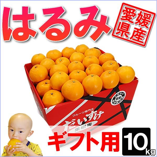 愛媛県産 はるみ ギフト用 10ｋｇ
