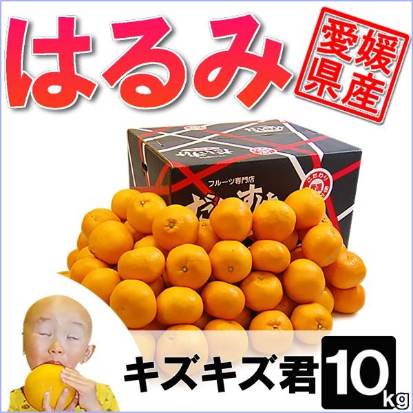 愛媛県産 はるみ キズキズ君 10ｋｇ
