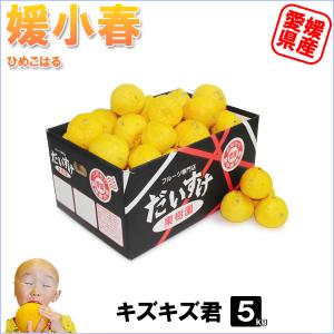 媛小春　キズキズ君　5ｋｇ