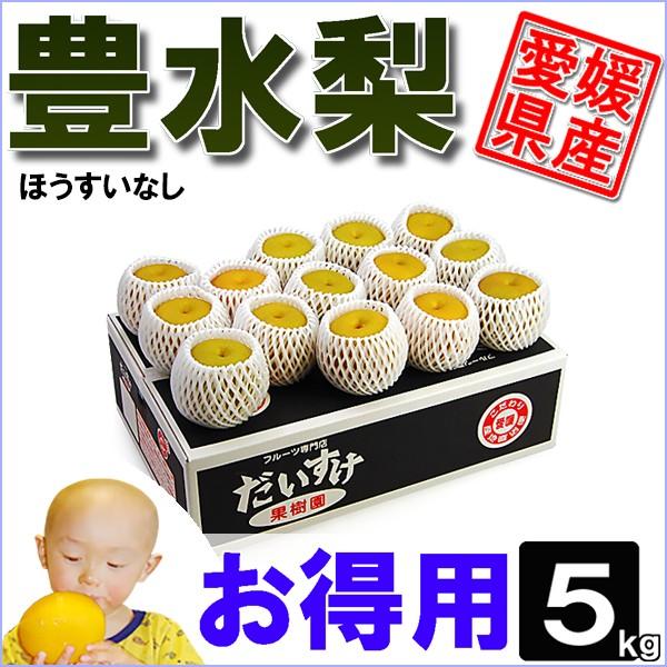豊水梨 お得用 5kg