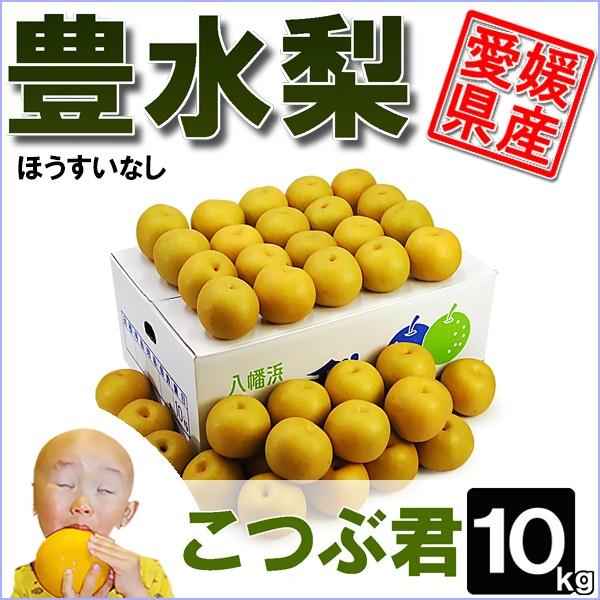 豊水梨 こつぶ君 10kg