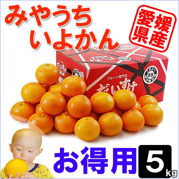 愛媛県産 みやうちいよかん　お得用 5ｋｇ