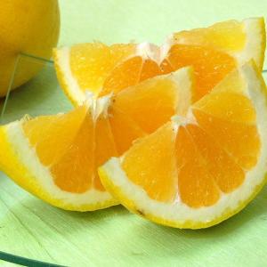 ジューシーオレンジ お得用5kgの詳細画像3