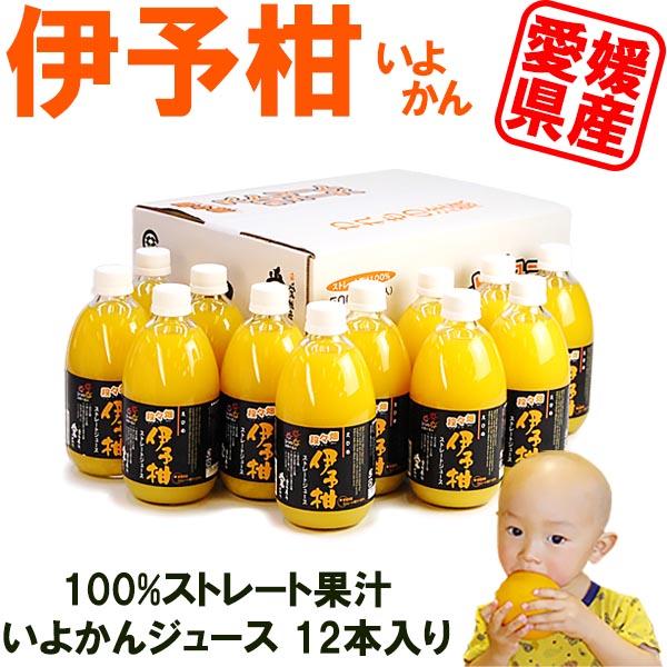 伊予柑（いよかん）ジュース12本
