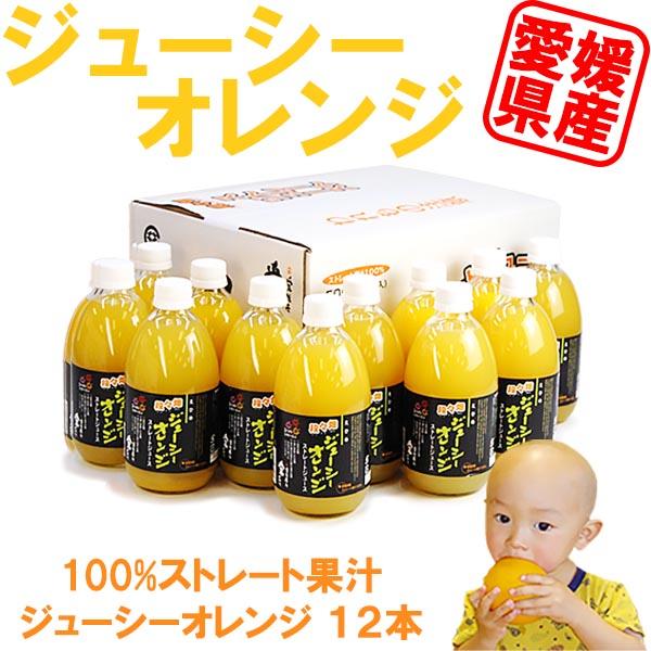 ジューシーオレンジ ジュース12本