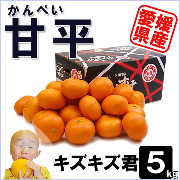 甘平 キズキズ君 5ｋｇ