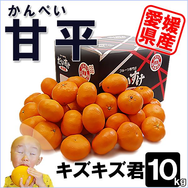 甘平 キズキズ君 10ｋｇ