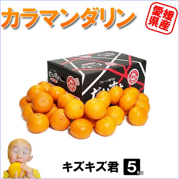 愛媛県産 カラマンダリン キズキズ君 5ｋｇ