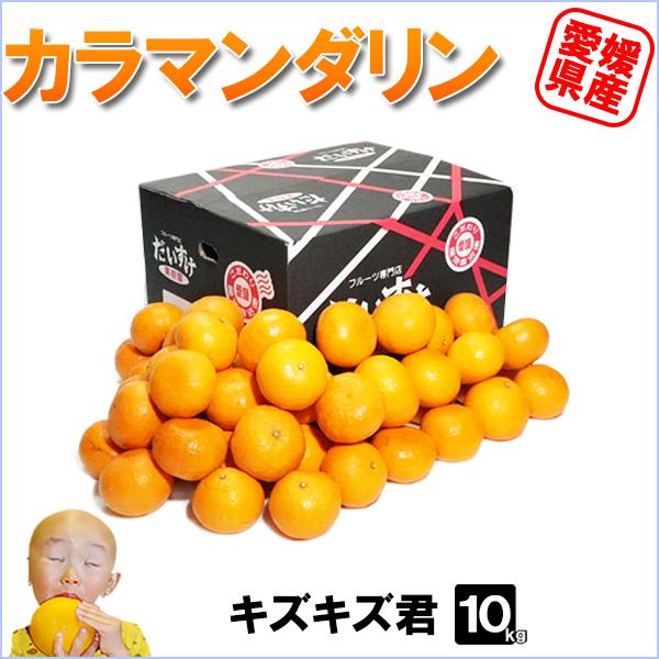 愛媛県産 カラマンダリン キズキズ君 10ｋｇ