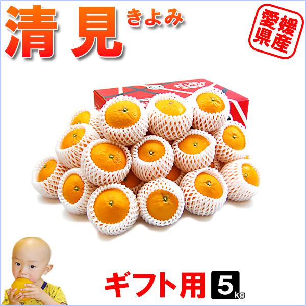 清見 ギフト用 5ｋｇ