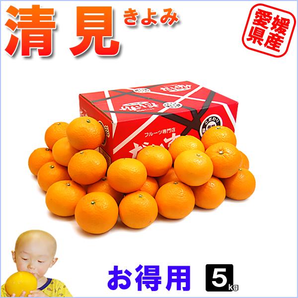 清見 お得用 5ｋｇ