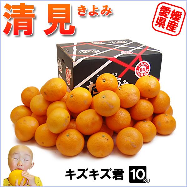 清見 キズキズ君 10ｋｇ
