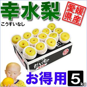 幸水梨 お得用 5kg