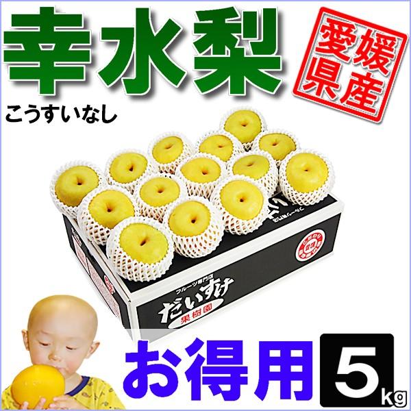 幸水梨 お得用 5kg